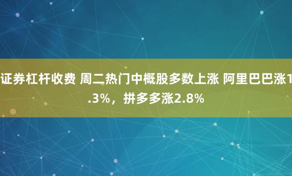 证券杠杆收费 周二热门中概股多数上涨 阿里巴巴涨1.3%，拼多多涨2.8%