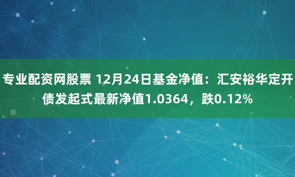 专业配资网股票 12月24日基金净值：汇安裕华定开债发起式最新净值1.0364，跌0.12%