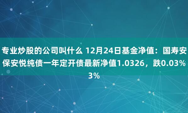 专业炒股的公司叫什么 12月24日基金净值：国寿安保安悦纯债一年定开债最新净值1.0326，跌0.03%