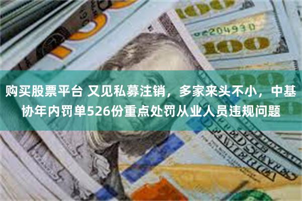 购买股票平台 又见私募注销，多家来头不小，中基协年内罚单526份重点处罚从业人员违规问题