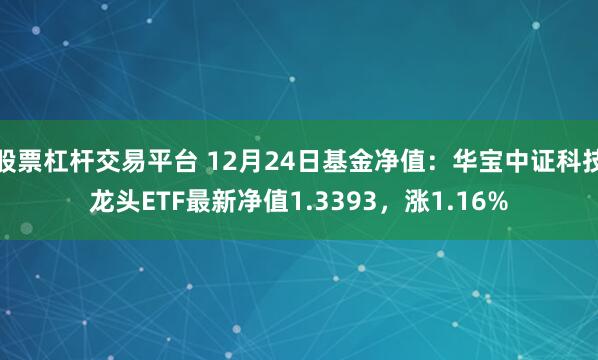 股票杠杆交易平台 12月24日基金净值：华宝中证科技龙头ETF最新净值1.3393，涨1.16%