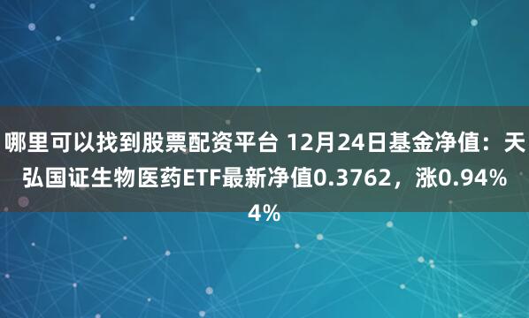 哪里可以找到股票配资平台 12月24日基金净值：天弘国证生物医药ETF最新净值0.3762，涨0.94%