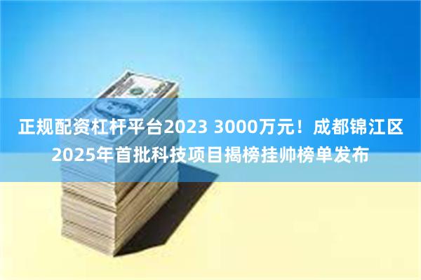 正规配资杠杆平台2023 3000万元！成都锦江区2025年首批科技项目揭榜挂帅榜单发布